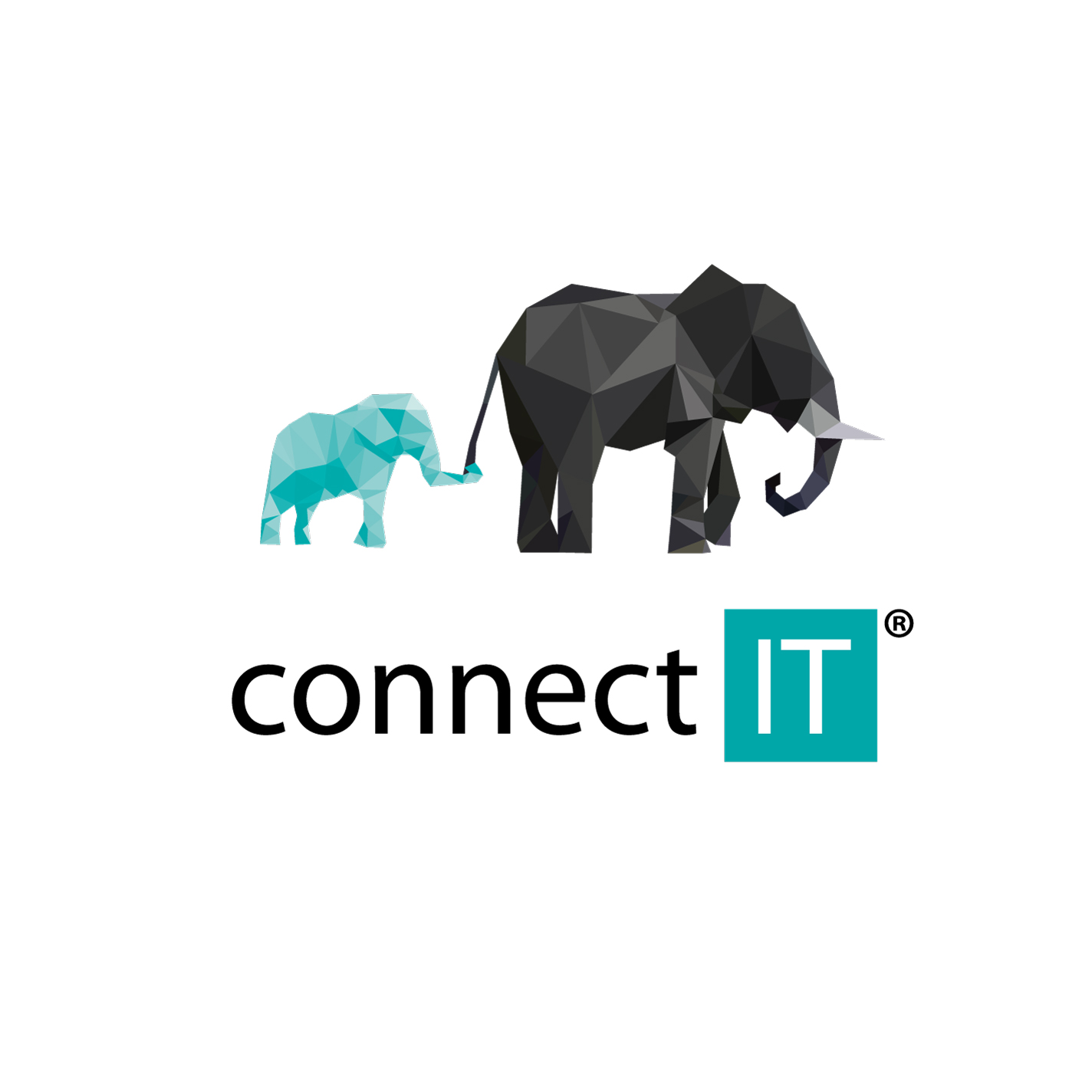 connect-it-elephants.jpg